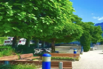 ��������ô����,����������Ԣ�����