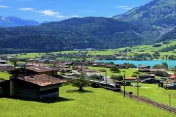 ��������ô����,����������Ԣ�����