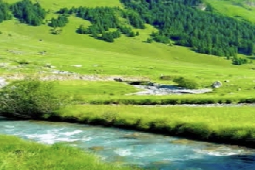 ������к��������Ƽ�,������к����ִ�ȫ������