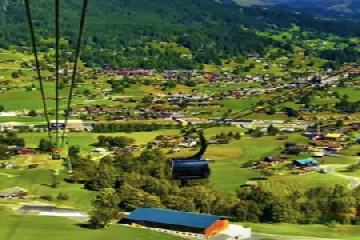 ��������ô����,����������Ԣ�����