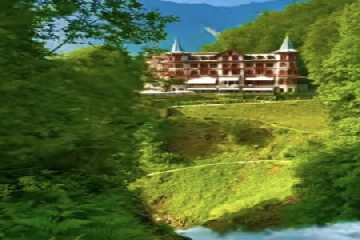 �������ô����,���������Ԣ�����